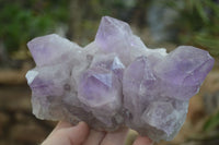 Natural Jacaranda Amethyst Clusters x 2 From Zambia