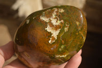 Polished  Green Opal Standing Free Forms  x 2 From Antsirabe, Madagascar