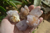 Natural Small Mixed Spirit Amethyst / Ametrine Specimens  x 35 From Boekenhouthoek, South Africa - Toprock Gemstones and Minerals 