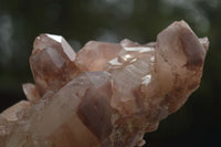 Natural Red Hematoid Phantom Quartz Clusters  x 5 From Karoi, Zimbabwe - TopRock