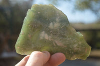 Natural Botryoidal Crystalline Mtorolite Specimens  x 8 From Zimbabwe