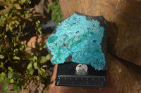 Natural Silica Chrysocolla On Dolomite Matrix Specimens x 2 From Congo