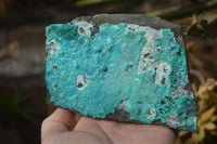 Natural Silica Chrysocolla On Dolomite Matrix Specimens x 2 From Congo