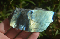 Polished One Side Polished Labradorite Slices  x 12 From Tulear, Madagascar - Toprock Gemstones and Minerals 