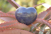 Polished Mixed Colour Intensity Purple Mica Lepidolite Hearts  x 6 From Madagascar - TopRock