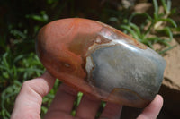 Polished Polychrome / Picasso Jasper Standing Free Forms  x 3 From Mahajanga, Madagascar - Toprock Gemstones and Minerals 