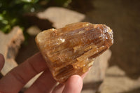 Natural Honey Aragonite Etched & Cobbed Pieces  x 12 From Namibia