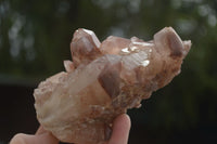 Natural Red Hematoid Phantom Quartz Clusters  x 5 From Karoi, Zimbabwe - TopRock