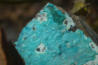 Natural Silica Chrysocolla On Dolomite Matrix Specimens x 2 From Congo