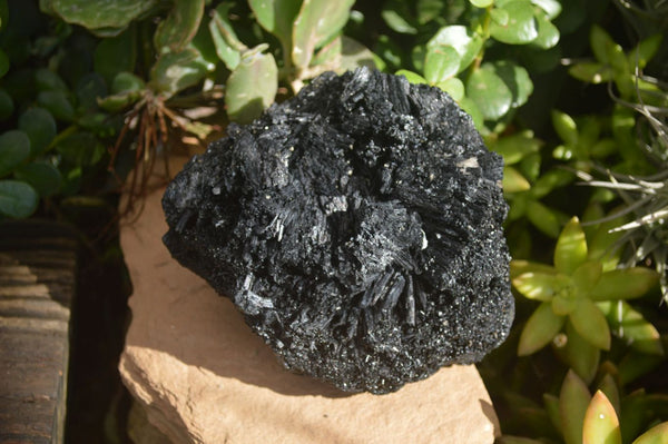 Natural Schorl Black Tourmaline Specimen x 1 From Erongo, Namibia