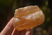 Natural Honey Aragonite Etched & Cobbed Pieces  x 12 From Namibia