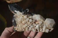 Natural Candle Quartz Clusters  x 5 From Madagascar