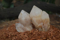 Natural Highly Selected Pineapple Candle Quartz Crystals  x 12 From Antsirabe, Madagascar - Toprock Gemstones and Minerals 