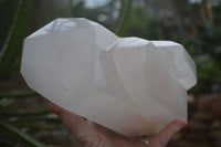 Polished Extra Large Triple Quartz Point  x 1 From Madagascar