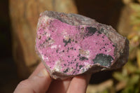 Natural Pink Salrose Cobaltion Dolomite Specimens  x 6 From Kakanda, Congo