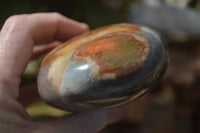 Polished Polychrome / Picasso Jasper Standing Free Forms  x 3 From Mahajanga, Madagascar - Toprock Gemstones and Minerals 