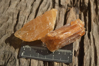 Natural Honey Aragonite Etched & Cobbed Pieces  x 12 From Namibia