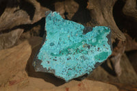 Natural Silica Chrysocolla On Dolomite Matrix Specimens x 2 From Congo