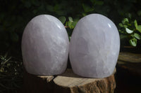 Polished Blue Girasol Rose Quartz Standing Free Forms x 2 From Madagascar