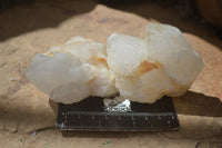 Natural "Cathedral Window" Cascading Quartz Specimens  x 7 From Madagascar - Toprock Gemstones and Minerals 