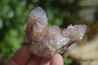 Natural Spirit Amethyst Quartz Clusters  x 6 From Boekenhouthoek, South Africa - Toprock Gemstones and Minerals 