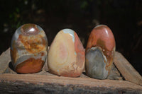 Polished Polychrome / Picasso Jasper Standing Free Forms  x 3 From Mahajanga, Madagascar - Toprock Gemstones and Minerals 