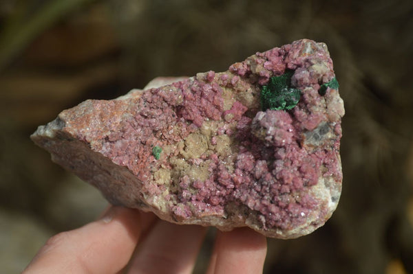 Natural Pink Salrose Cobaltion Dolomite Specimens  x 2 From Kakanda, Congo