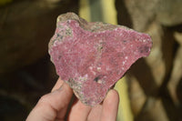 Natural Pink Salrose Cobaltion Dolomite Specimens  x 6 From Kakanda, Congo