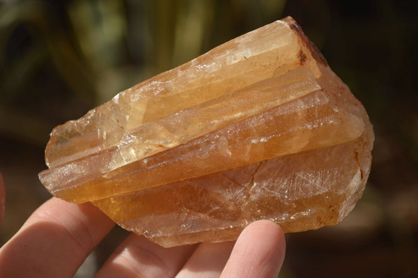 Natural Honey Aragonite Etched & Cobbed Pieces  x 12 From Namibia