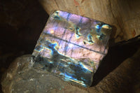 Polished One Side Polished Labradorite Slices  x 12 From Tulear, Madagascar - Toprock Gemstones and Minerals 