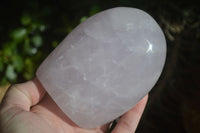 Polished Blue Girasol Rose Quartz Standing Free Forms x 2 From Madagascar