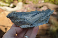 Natural Blue Kyanite Crystals In Mica & Quartz Matrix  x 4 From Zimbabwe - TopRock