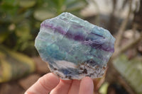 Polished Watermelon Fluorite Slices  x 6 From Uis, Namibia