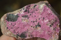 Natural Pink Salrose Cobaltion Dolomite Specimens  x 6 From Kakanda, Congo