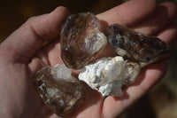 Natural Mixed Window Brandberg Quartz Crystals x 12 From Brandberg, Namibia