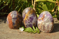 Polished Flower Dream Amethyst Standing Free Forms x 3 From Madagascar - TopRock