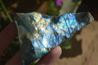 Polished One Side Polished Labradorite Slices  x 12 From Tulear, Madagascar - Toprock Gemstones and Minerals 