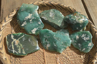 Polished  One Side Polished Emerald Mtorolite Plates  x 6 From Zimbabwe