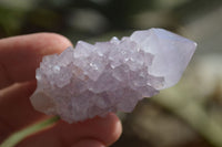 Natural Small Mixed Spirit Amethyst / Ametrine Specimens  x 35 From Boekenhouthoek, South Africa - Toprock Gemstones and Minerals 