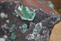 Natural Drusy Coated Ball Malachite On Dolomite Specimen  x 1 From Likasi, Congo