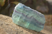 Polished Watermelon Fluorite Slices  x 6 From Uis, Namibia