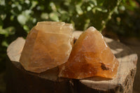 Natural Honey Aragonite Etched & Cobbed Pieces  x 12 From Namibia