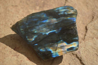 Polished One Side Polished Labradorite Slices  x 12 From Tulear, Madagascar - Toprock Gemstones and Minerals 