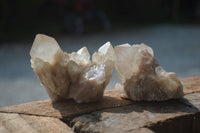 Natural Cascading White Phantom Smokey Quartz Clusters  x 12 From Luena, Congo - Toprock Gemstones and Minerals 