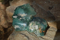 Polished  One Side Polished Emerald Mtorolite Plates  x 6 From Zimbabwe