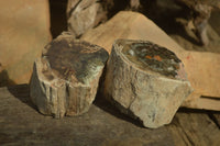 Polished Petrified Wood Branch Pieces x 2 From Gokwe, Zimbabwe