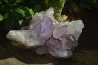 Natural Jacaranda Amethyst Clusters  x 2 From Zambia - Toprock Gemstones and Minerals 