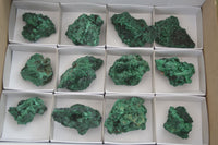 Natural Chatoyant Silky Malachite Specimens  x 12 From Kasompe, Congo - Toprock Gemstones and Minerals 