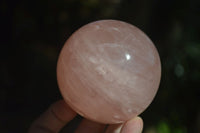 Polished Gemmy Pink Rose Quartz Spheres  x 3 From Ambatondrazaka, Madagascar - Toprock Gemstones and Minerals 