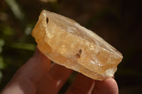 Natural Honey Aragonite Etched & Cobbed Pieces  x 12 From Namibia